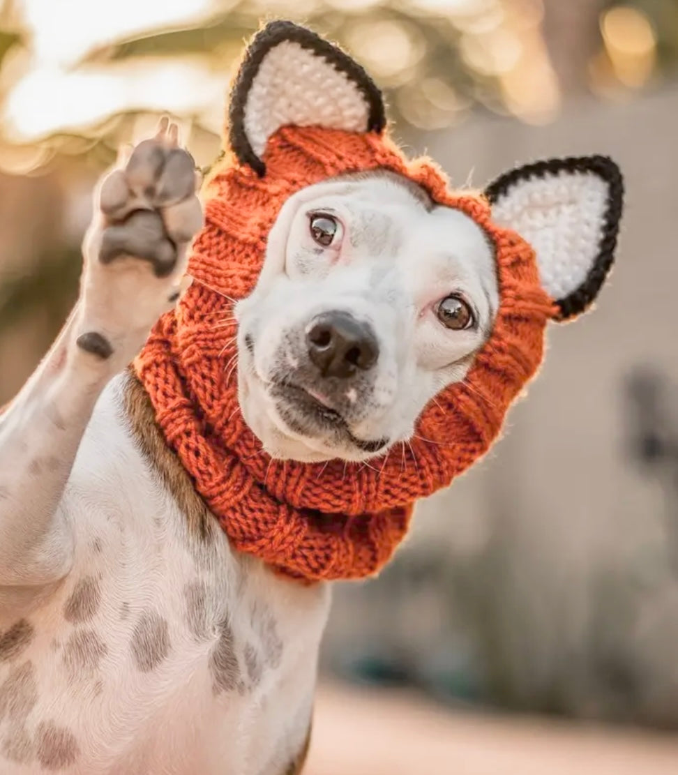 Fox headwear woolly winter hat and neck warmer for dogs