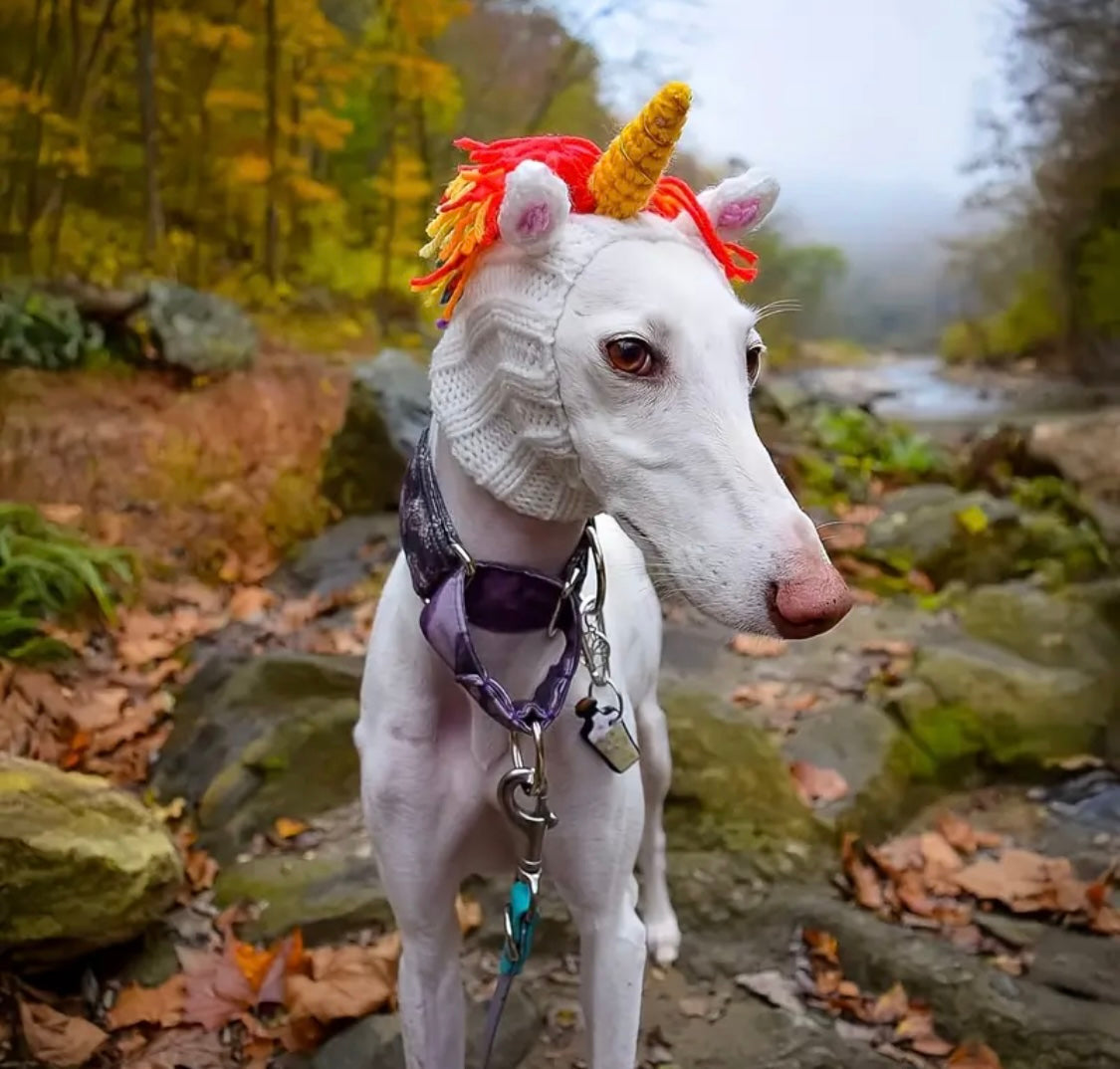 Rainbow Unicorn hat headwear woolly winter hat neck warmer for dogs & pets