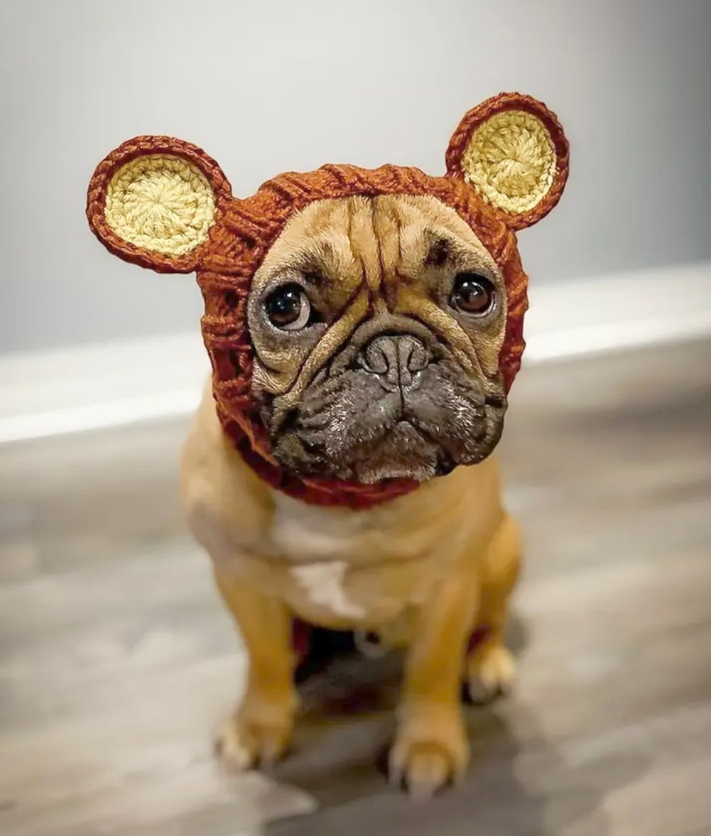 Big teddy bear headwear woolly winter hat for dogs