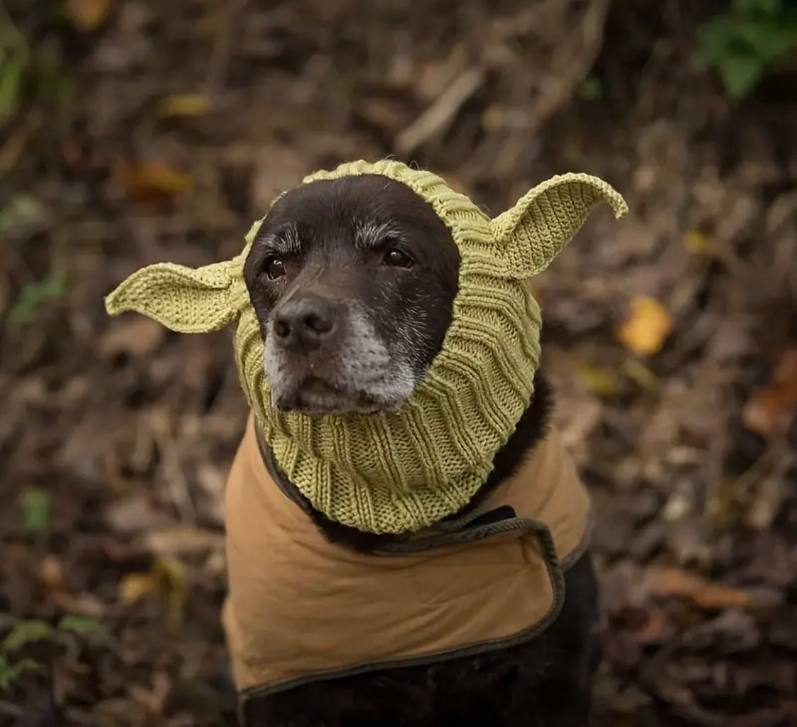 Elf woolly hat for dogs & cats