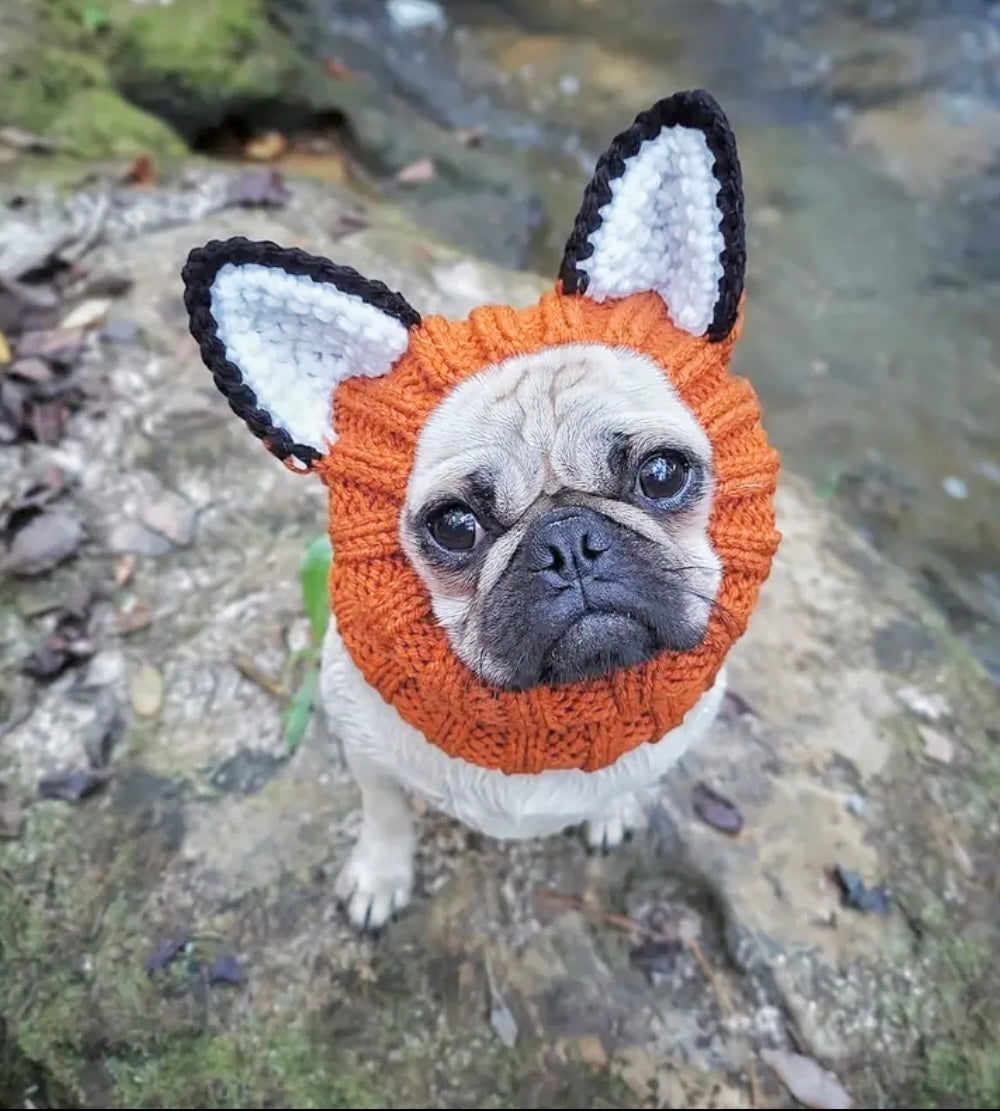 Fox headwear woolly winter hat and neck warmer for dogs