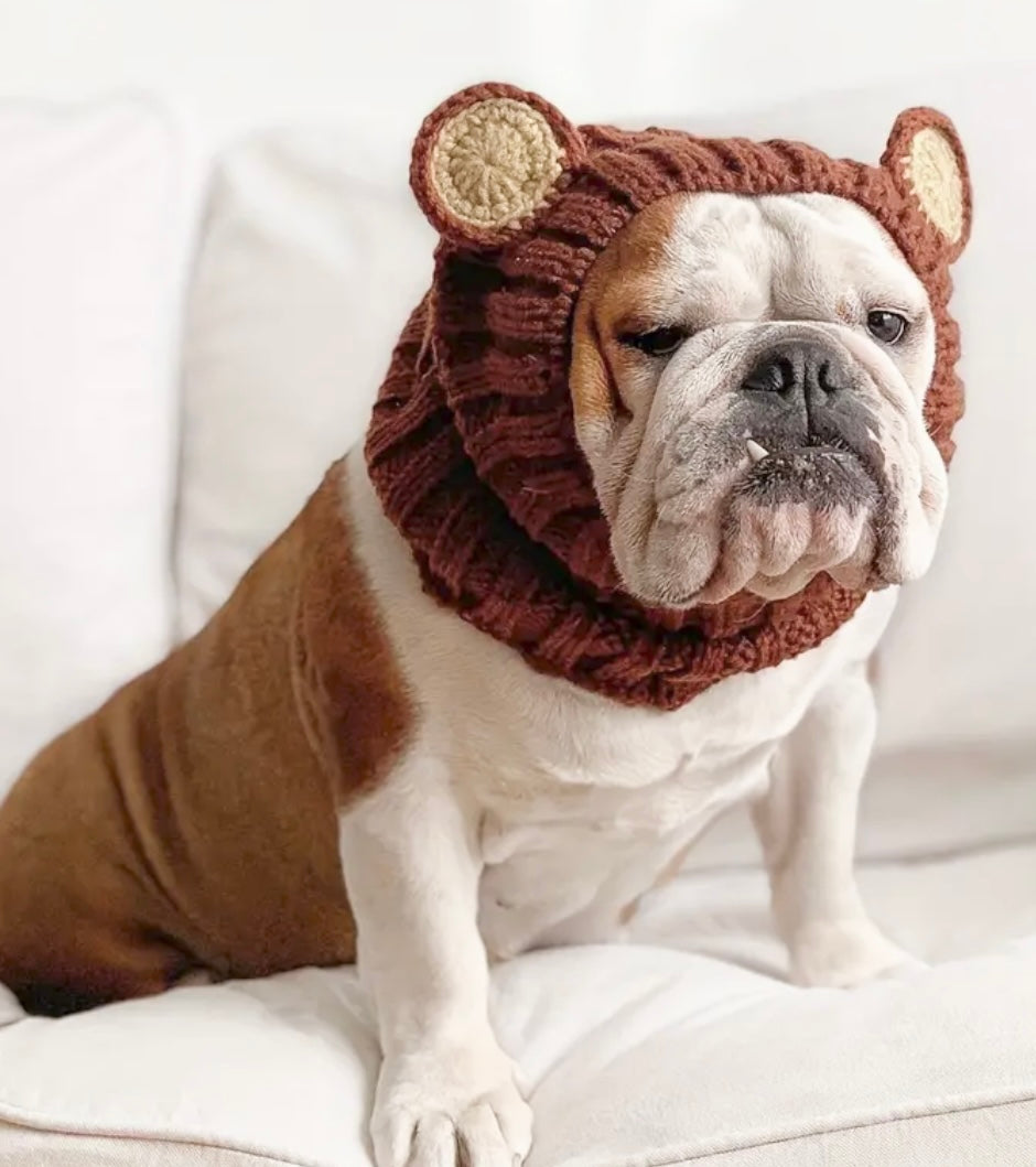 Big teddy bear headwear woolly winter hat for dogs
