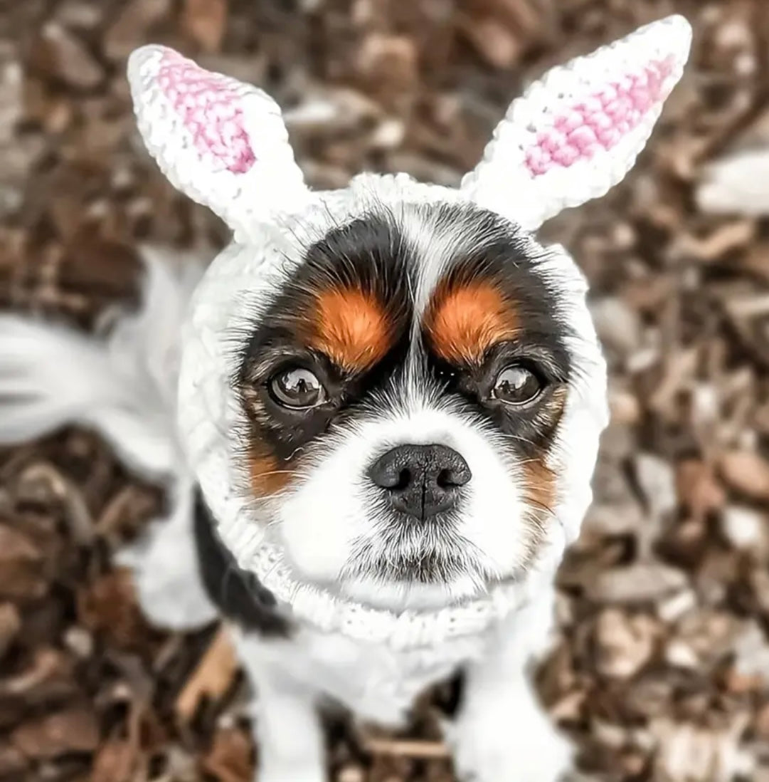 Cute bunny ears woolly winter hat neck warmer for dogs