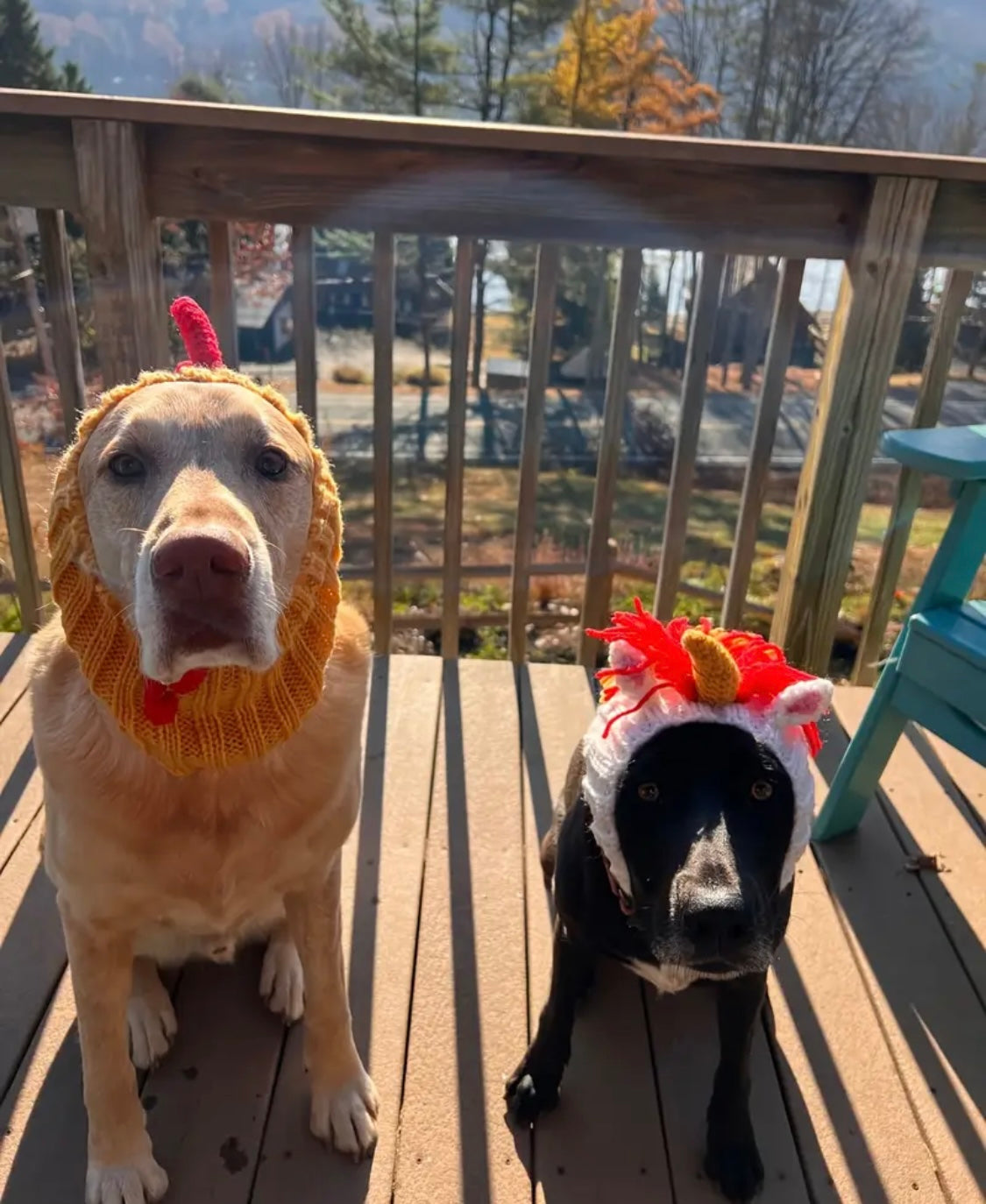 Rooster Chicken hat headwear woolly winter hat neck warmer for dogs & pets