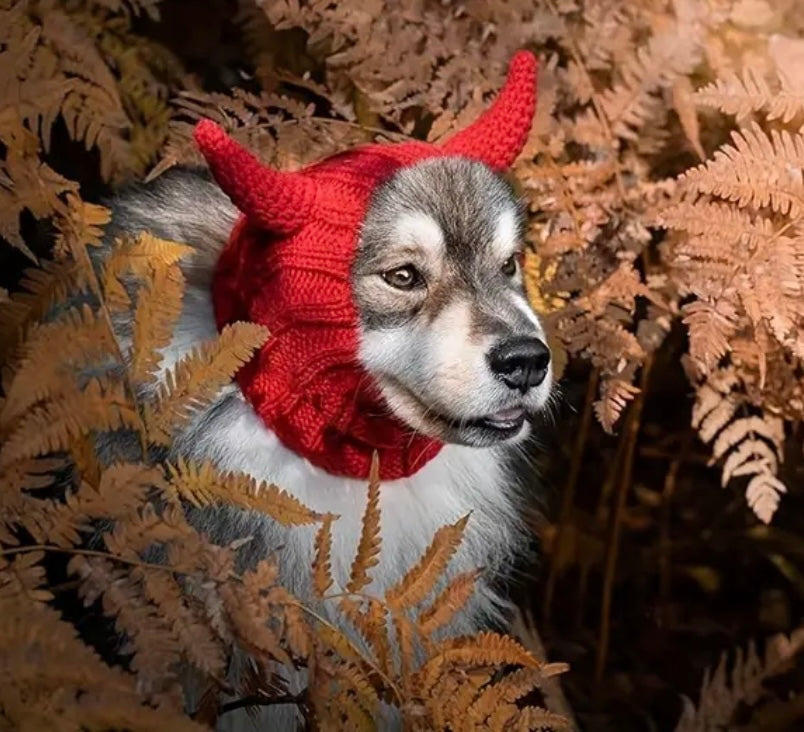 Halloween Red Devil hat headwear woolly winter hat for dogs