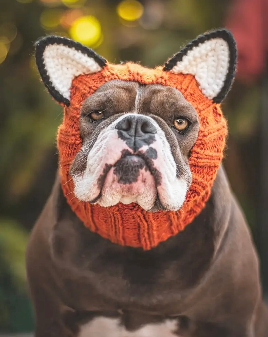 Fox headwear woolly winter hat and neck warmer for dogs