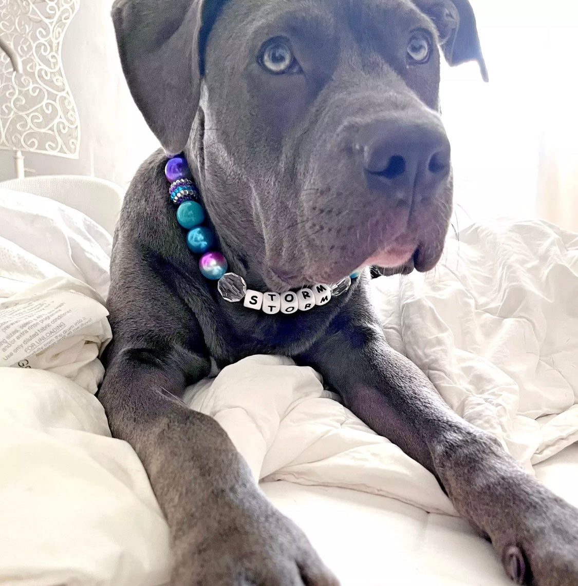 Purple & green pop sparkle personalised beaded dog collar necklace