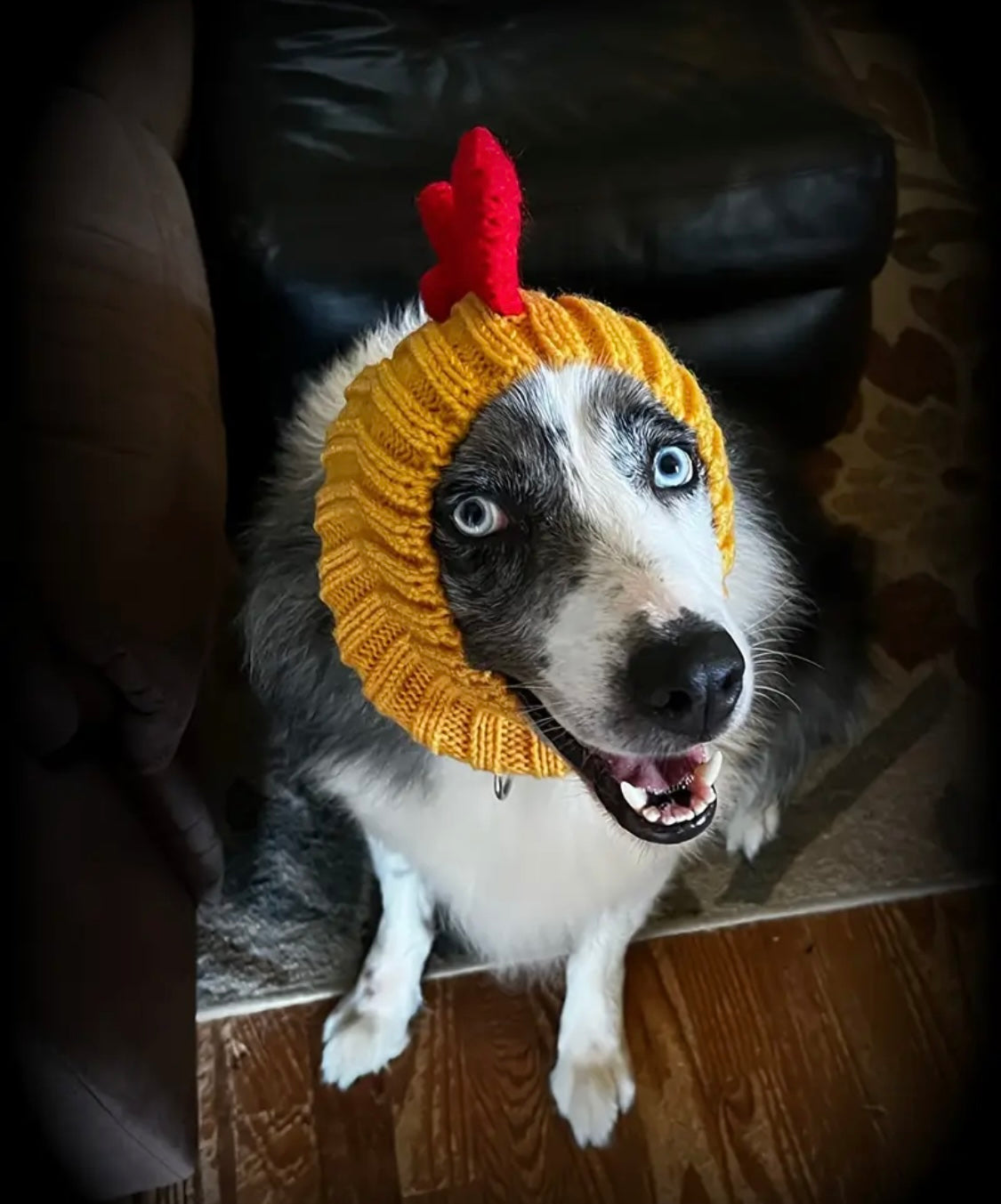 Rooster Chicken hat headwear woolly winter hat neck warmer for dogs & pets