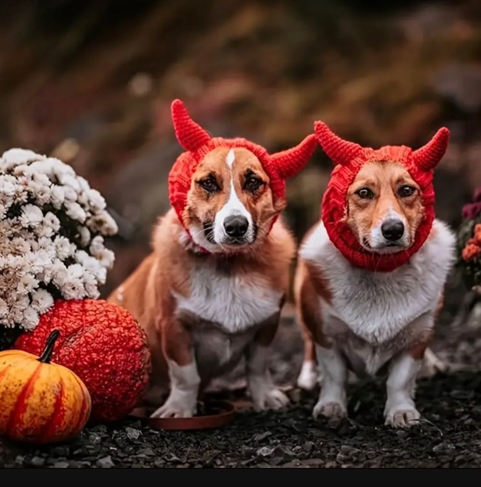 Halloween Red Devil hat headwear woolly winter hat for dogs