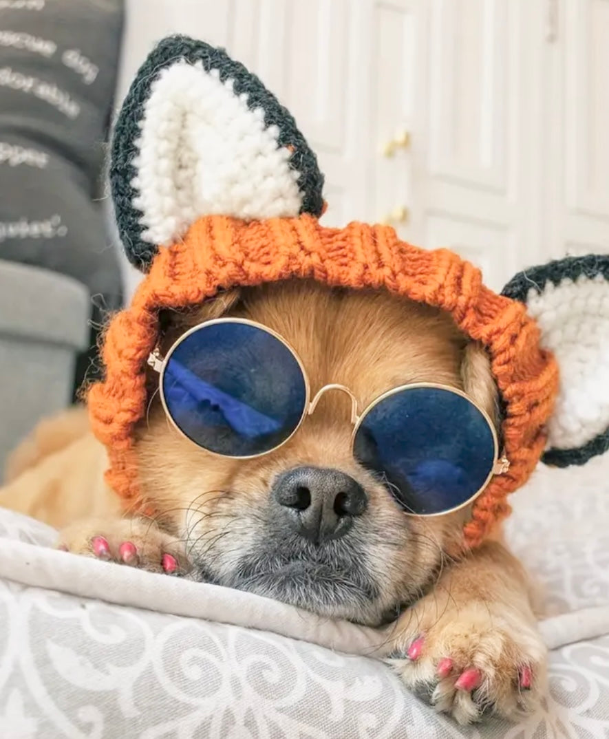 Fox headwear woolly winter hat and neck warmer for dogs