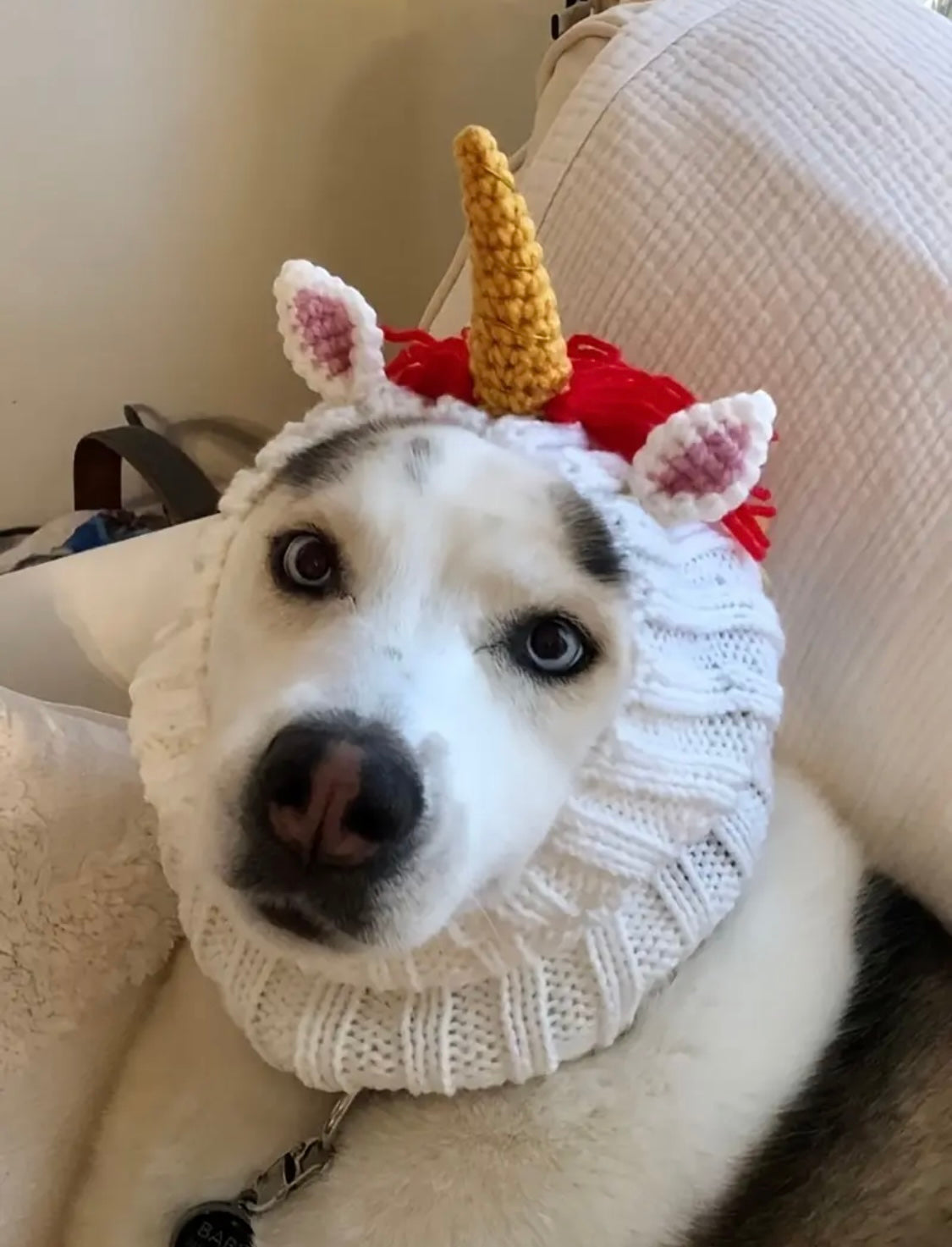 Rainbow Unicorn hat headwear woolly winter hat neck warmer for dogs & pets