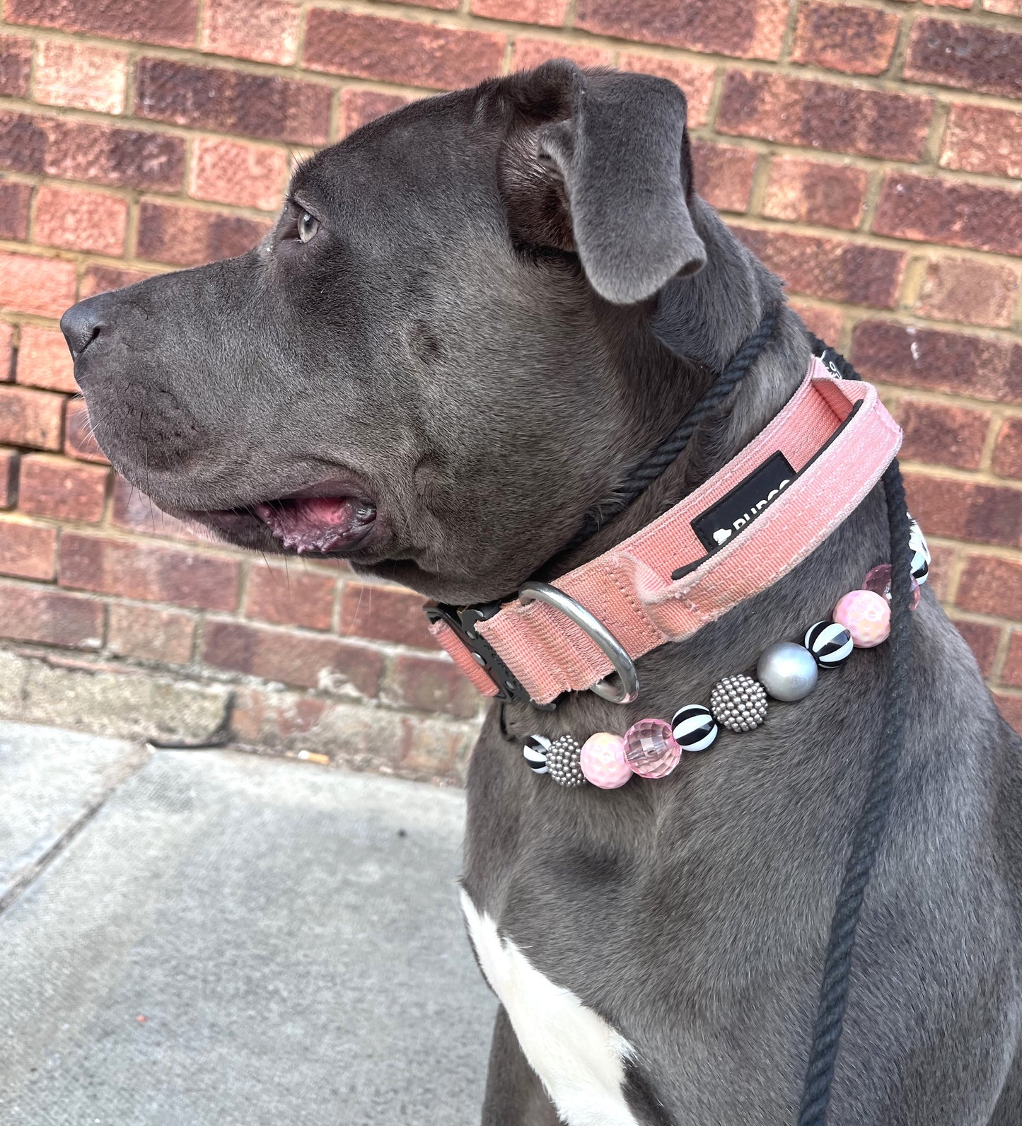 Pink & grey candy stripe personalised beaded dog collar pet necklace