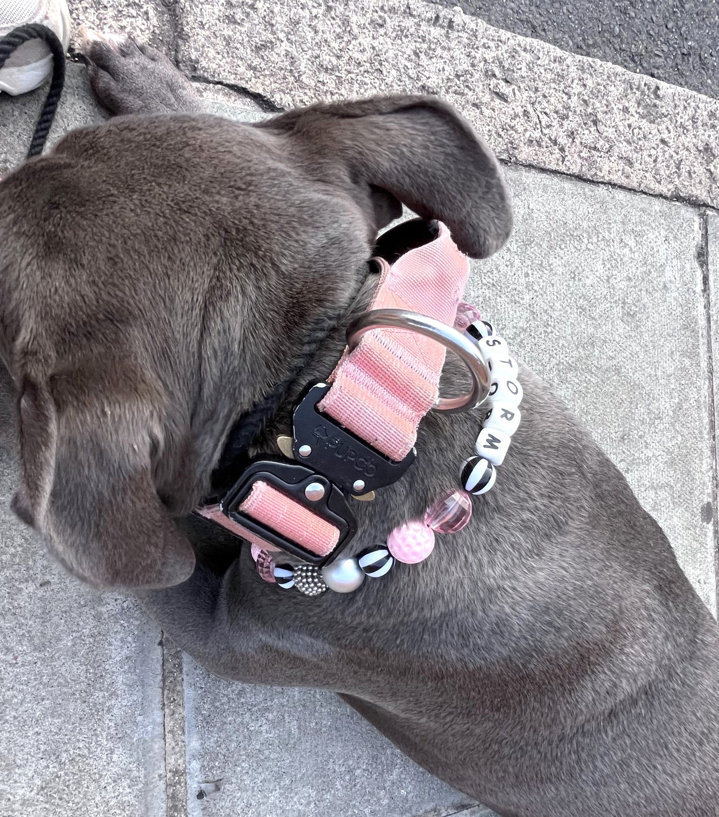 Pink & grey candy stripe personalised beaded dog collar pet necklace