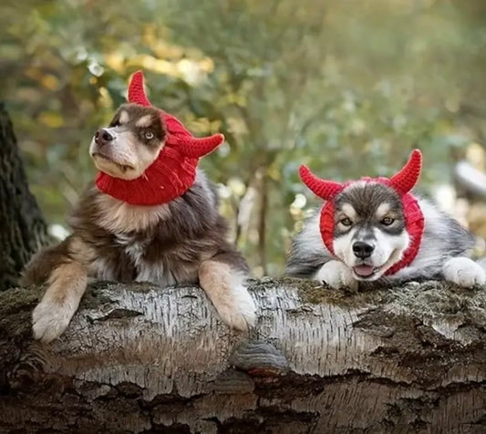 Halloween Red Devil hat headwear woolly winter hat for dogs