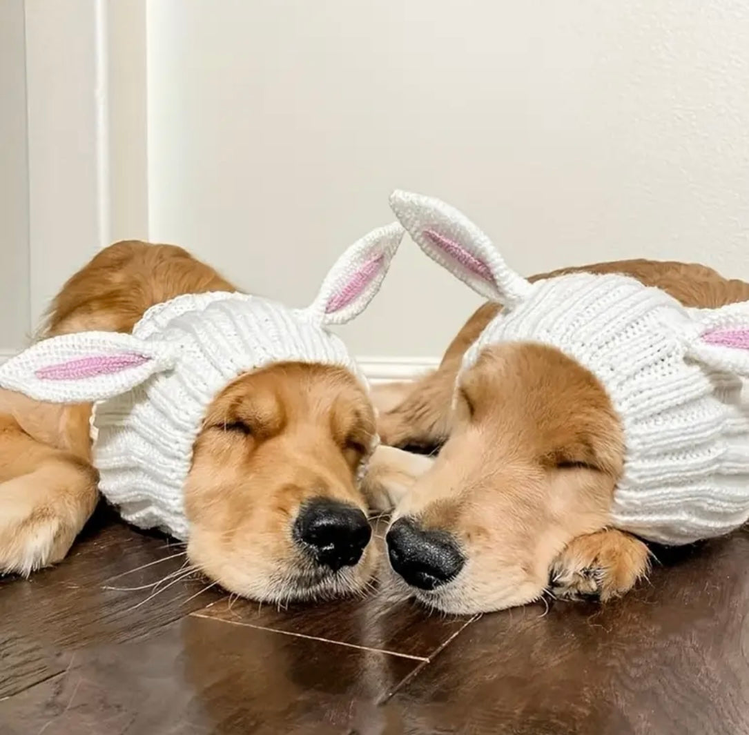 Cute bunny ears woolly winter hat neck warmer for dogs