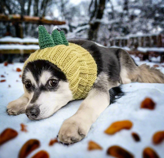 Dinosaur dino headwear woolly winter hat and neck warmer for dogs