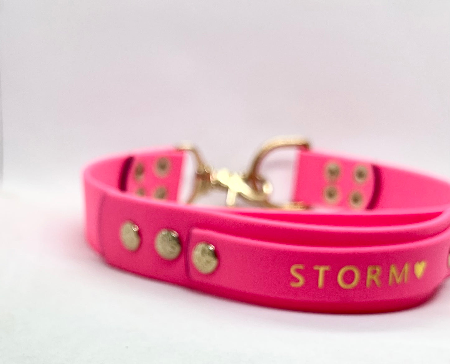 A bright pink personalised pet collar with brass hardware and the name 'STORM' printed in gold on the front. JOOLS LONDON