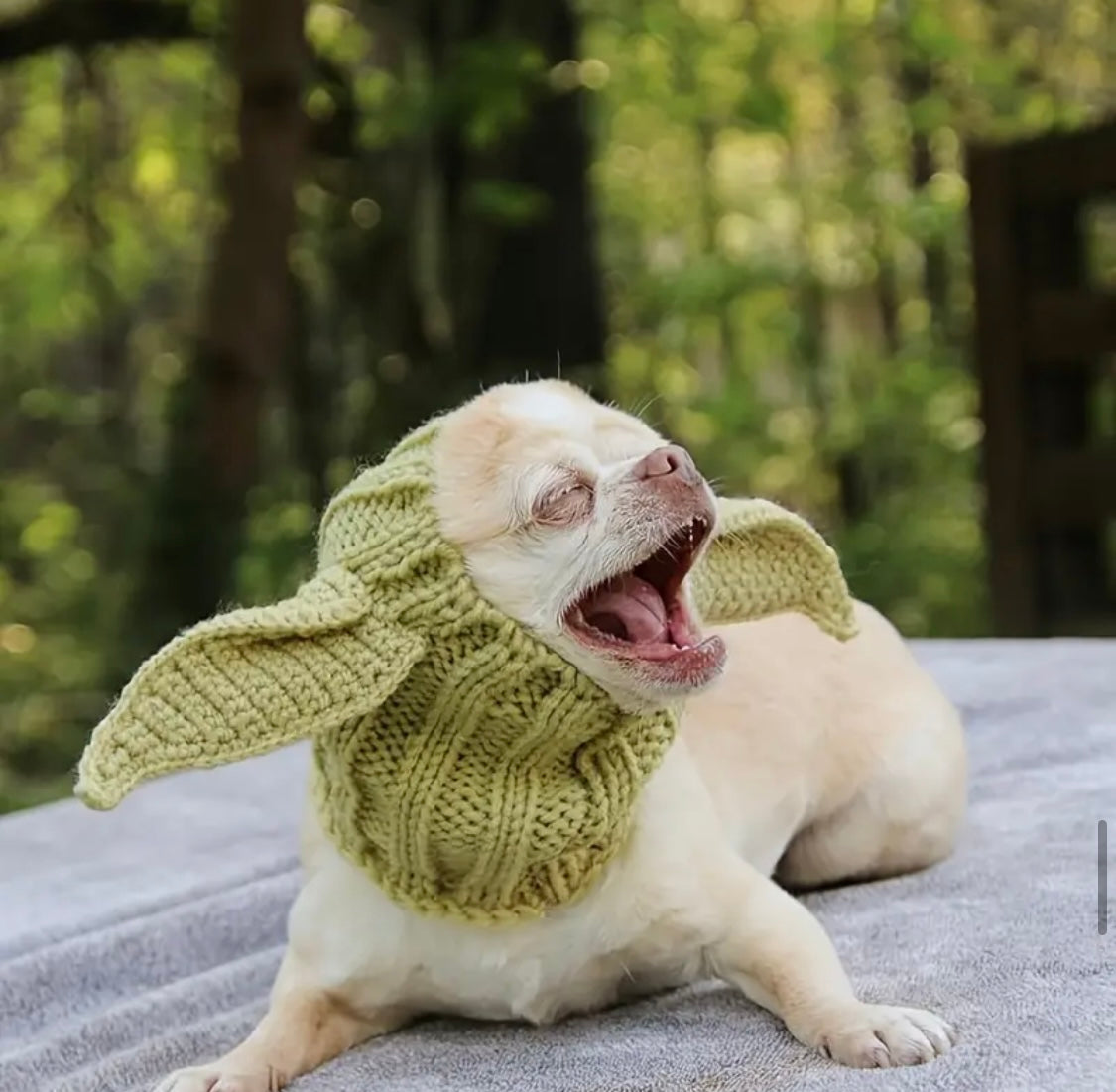 Elf woolly hat for dogs & cats