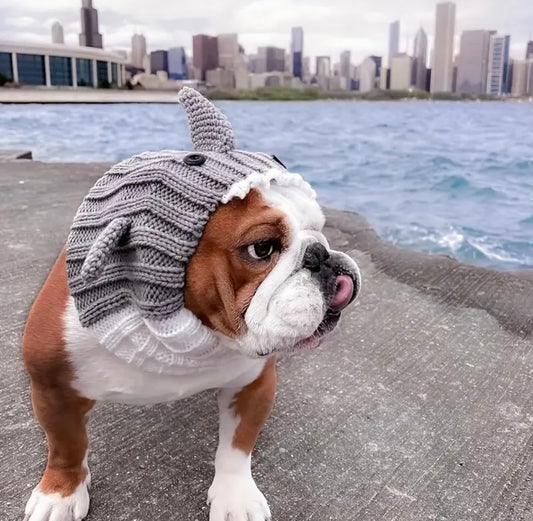 Grey Shark hat headwear woolly winter hat for dogs