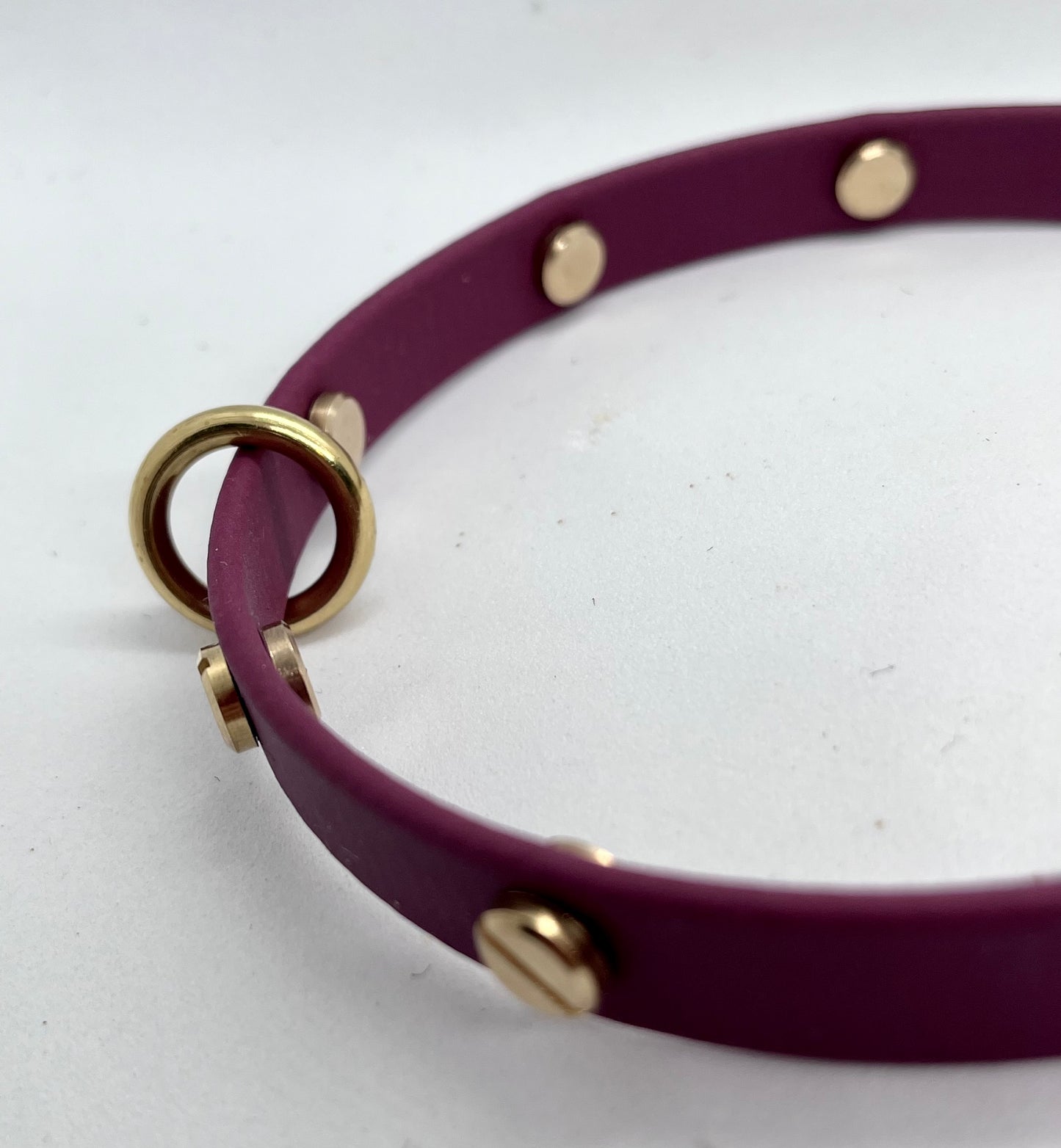 ‘Coffee Bean’ WINE RED BioThane® 13mm collar, lead & accessories solid brass hardware