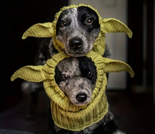 Elf woolly hat for dogs & cats