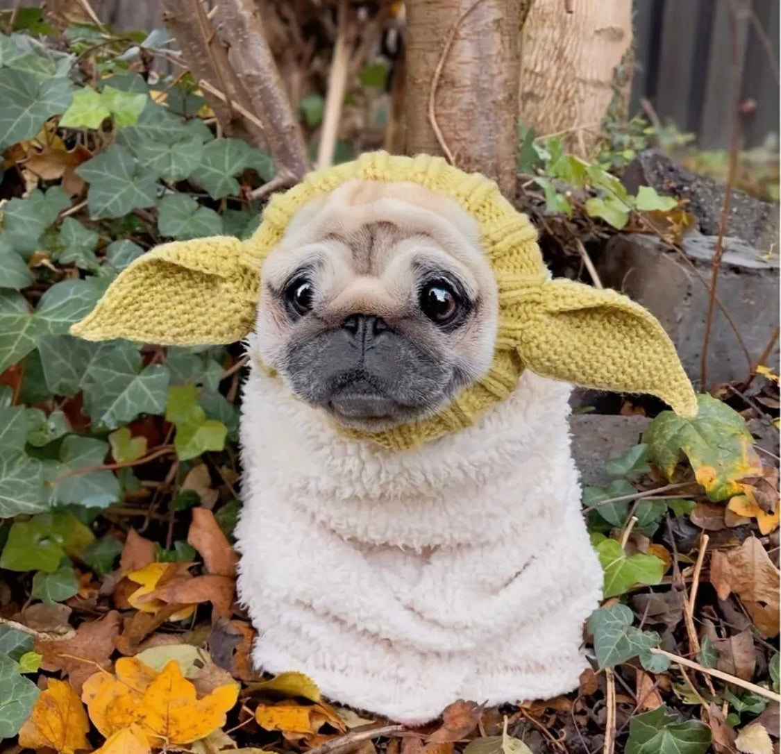 Elf woolly hat for dogs & cats