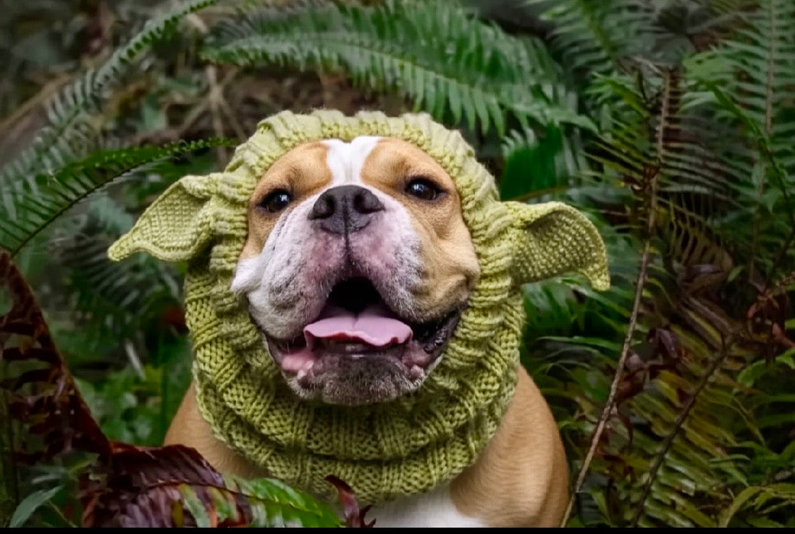 Green ‘Elf Game-Changer’ Woolly Snood Neck-warmer Hat for Dogs