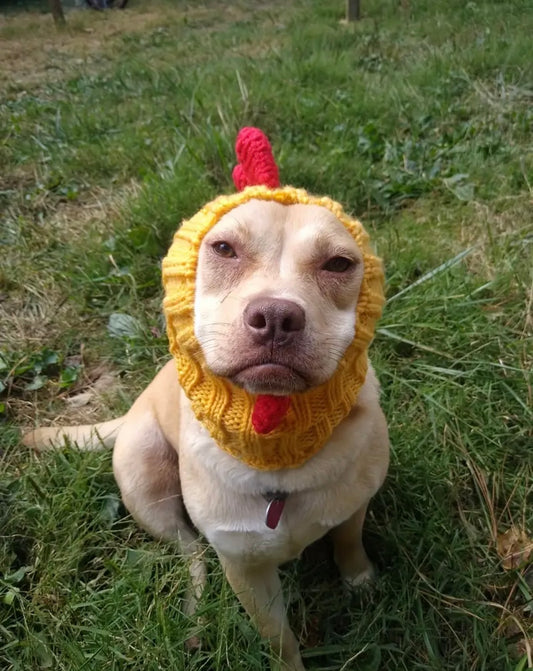 Rooster Chicken hat headwear woolly winter hat neck warmer for dogs & pets