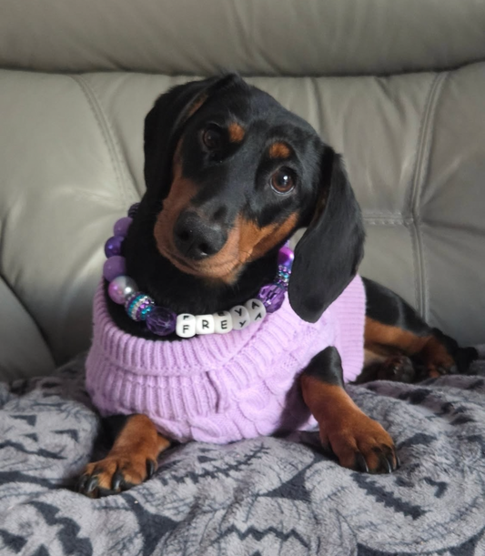 ‘Polite Rebel’ purple disco sparkle personalised beaded dog collar necklace