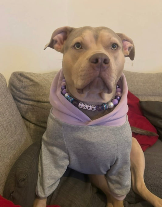 Purple disco sparkle personalised beaded dog collar necklace