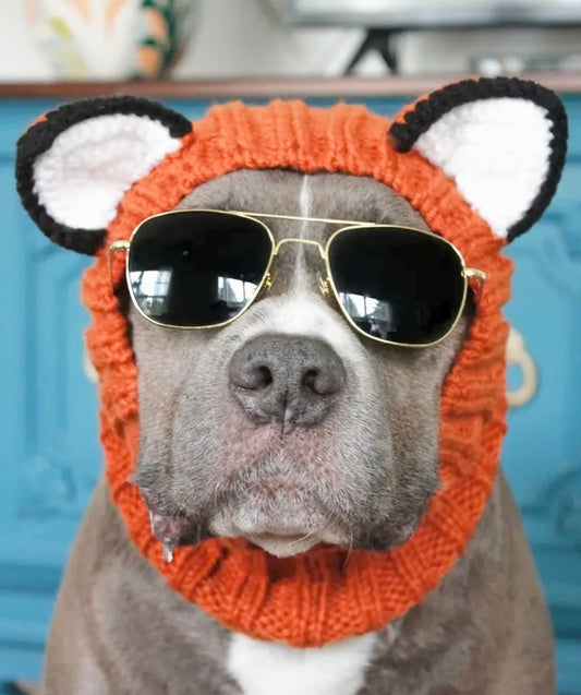 Fox headwear woolly winter hat and neck warmer for dogs