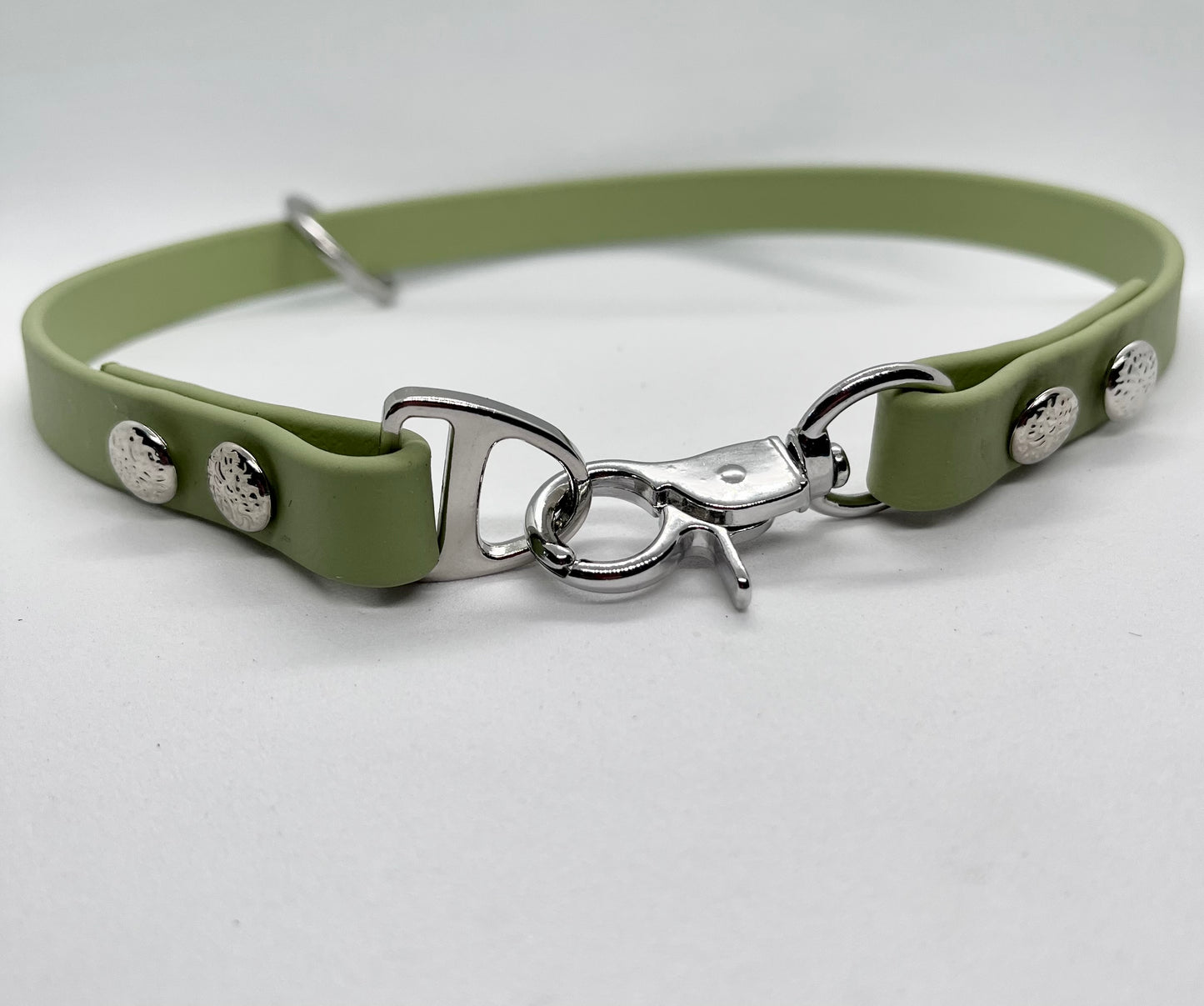 ‘Just Saying’ plain BioThane® 13mm clip collar, textured steel studs stainless steel hardware