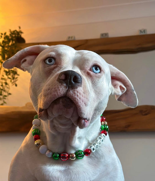 ‘Kissmas Cutie’ Mouse Christmas crystal sparkle personalised beaded dog collar necklace