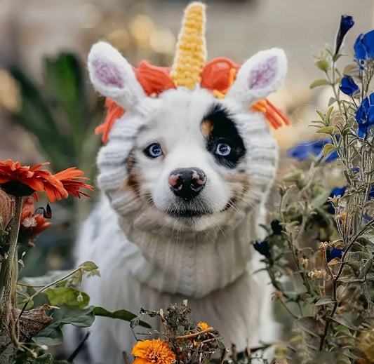 Rainbow Unicorn hat headwear woolly winter hat neck warmer for dogs & pets