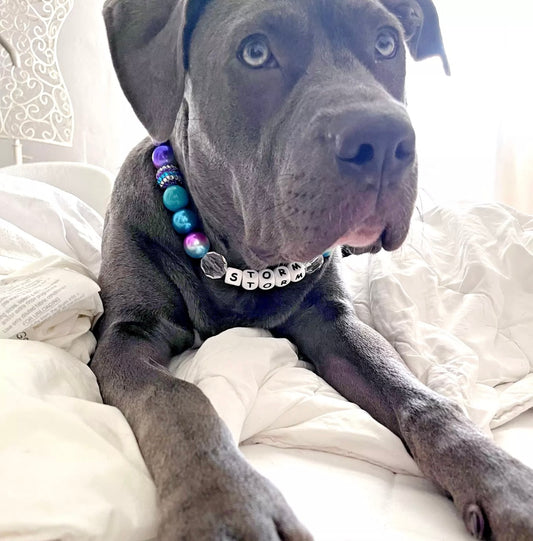 Purple & green pop sparkle personalised beaded dog collar necklace