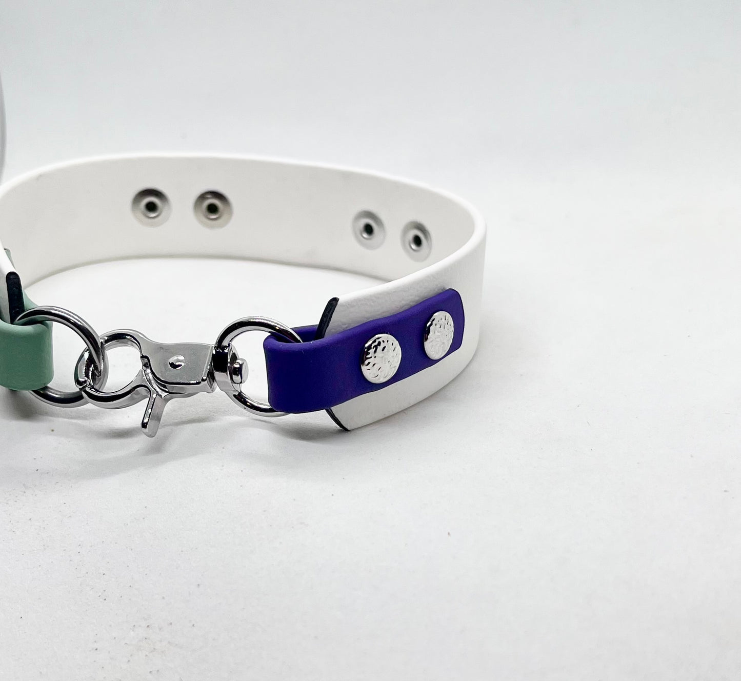 'How Fancy’  White Purple &  Green BioThane® Collar - Stainless Steel Hardware