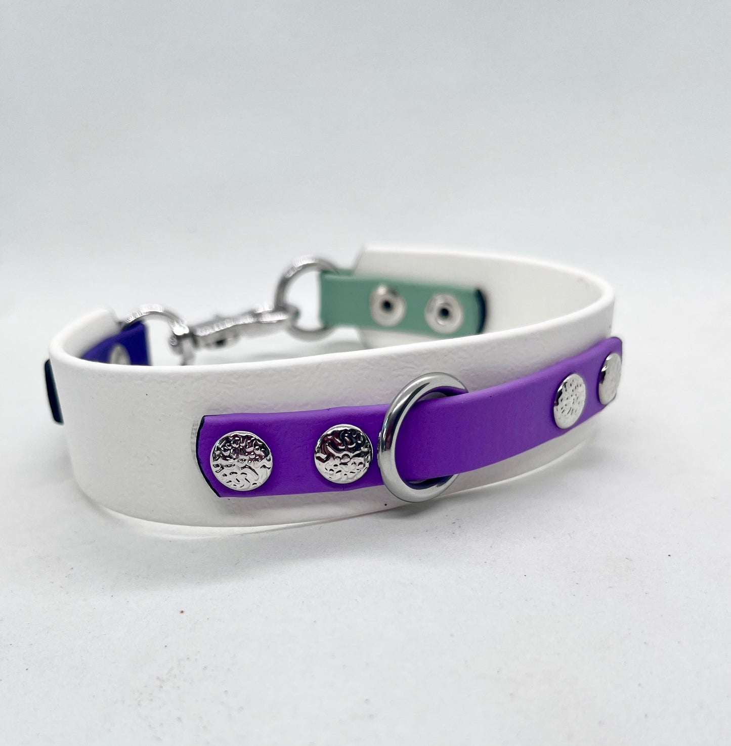 'How Fancy’  White Purple &  Green BioThane® Collar - Stainless Steel Hardware