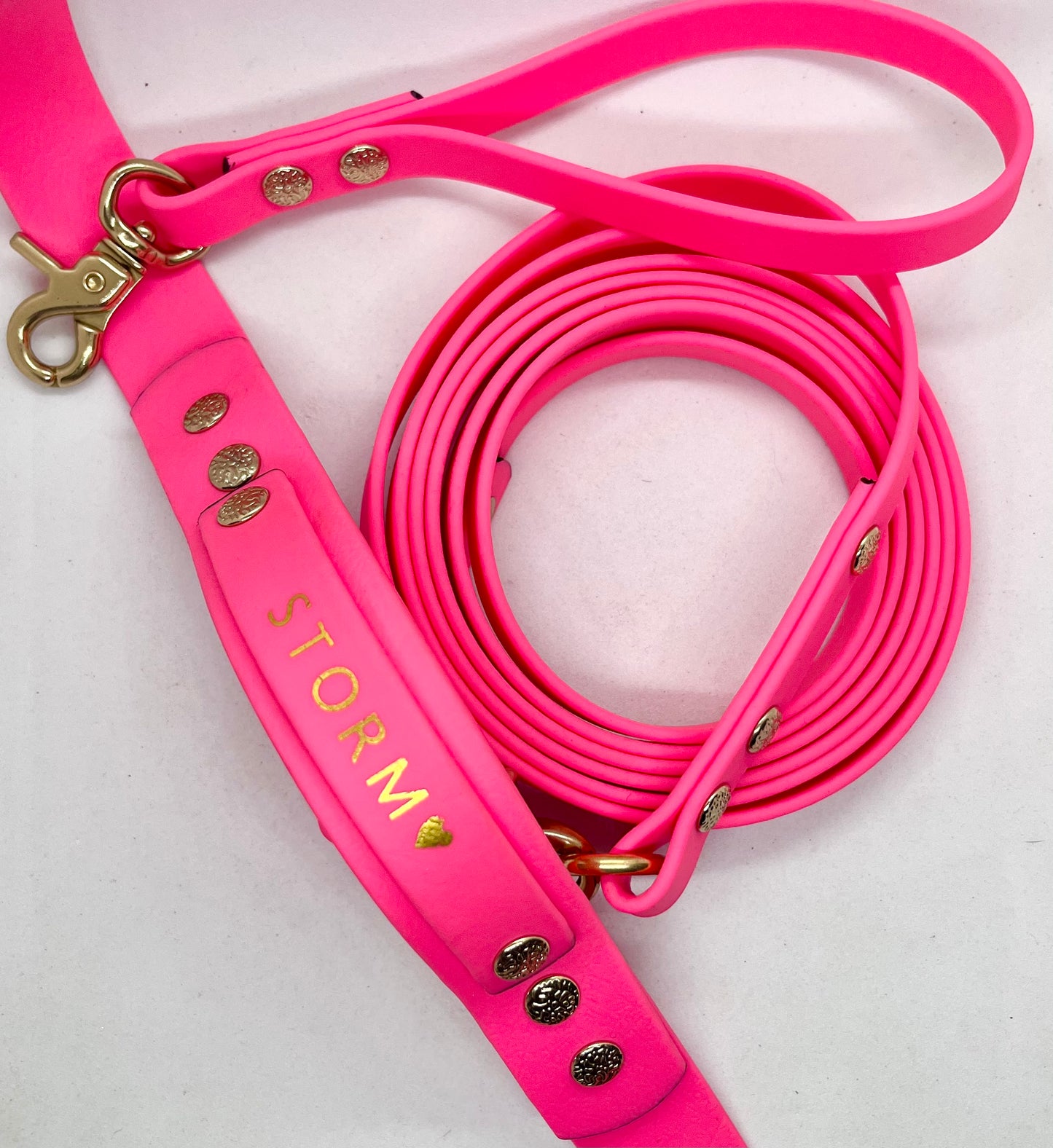 Luxe Lead Neon Pink BioThane®  Solid Brass Dog Lead with Handle