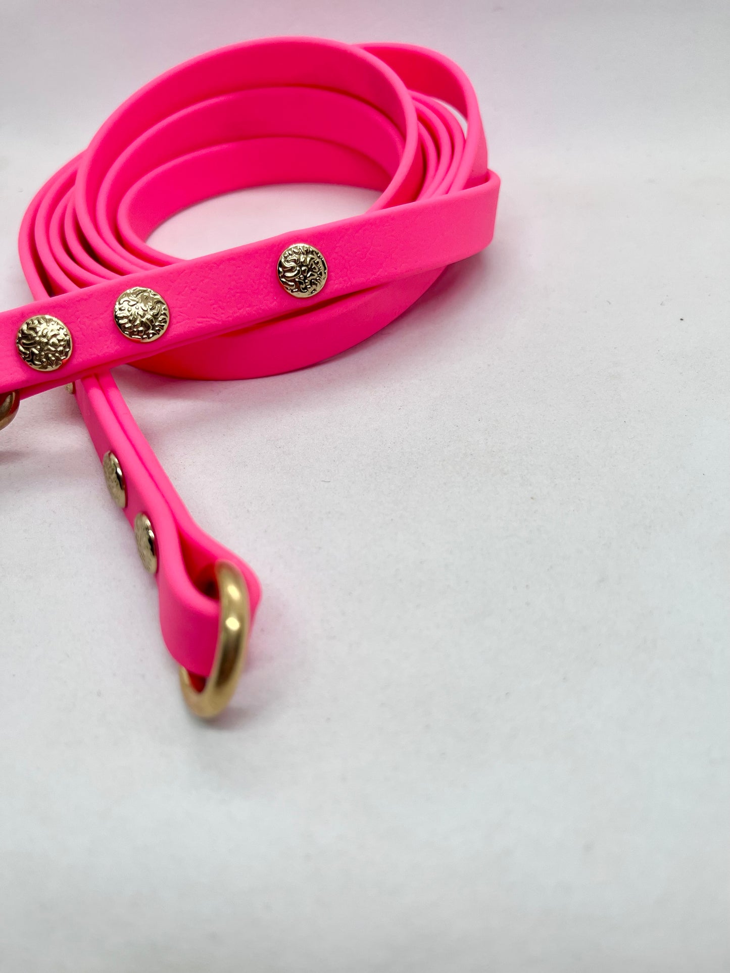 Luxe Lead Neon Pink BioThane®  Solid Brass Dog Lead with Handle