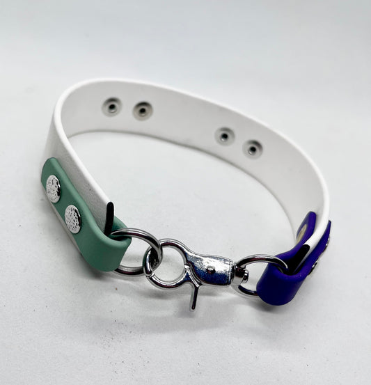 'How Fancy’  White Purple &  Green BioThane® Collar - Stainless Steel Hardware
