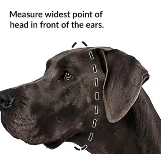 Iridescent Blue 'Top Dog' Beaded Collar with Matte Black Stainless Steel Hardware