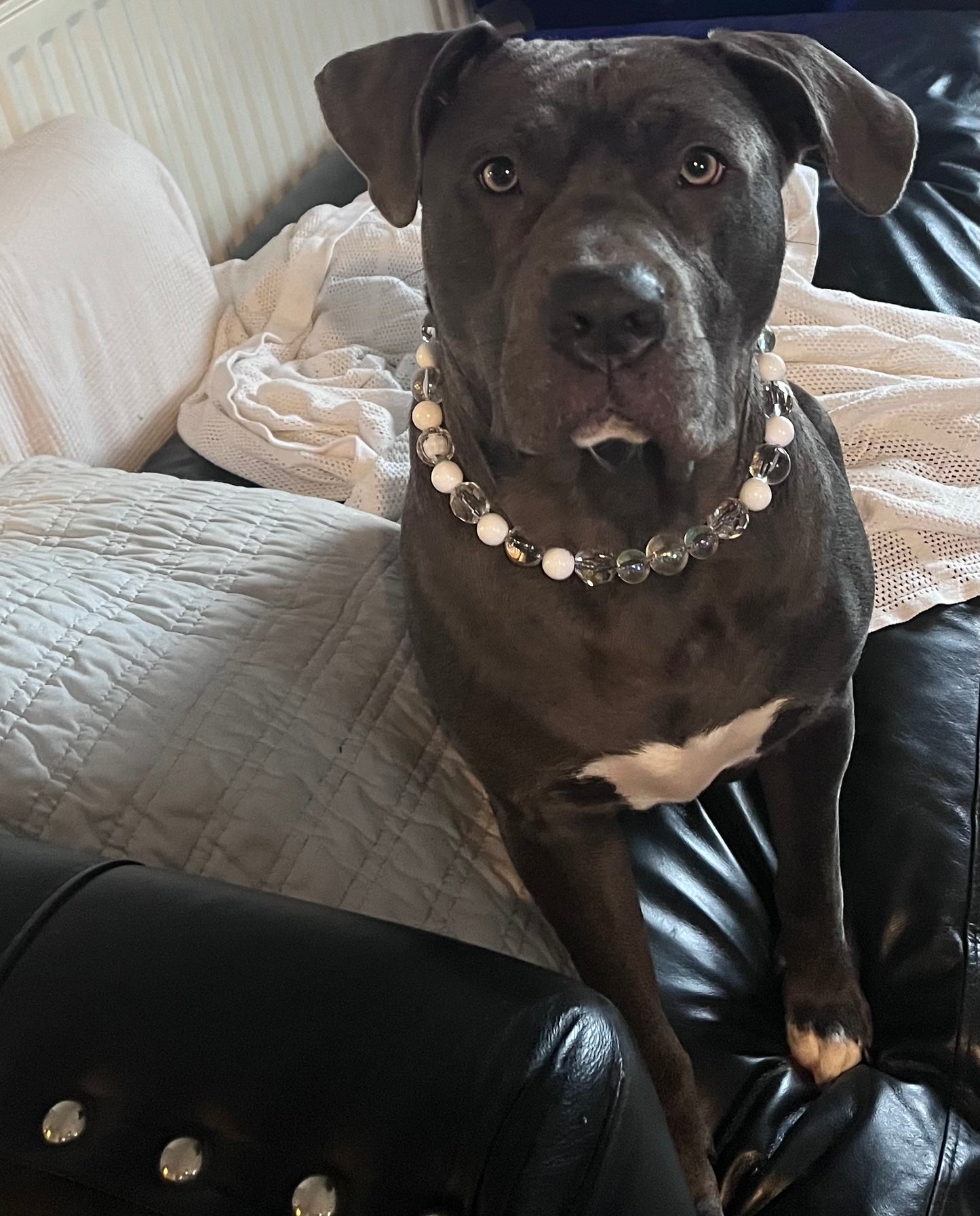 Winter wonderland white crystal sparkle beaded dog collar necklace