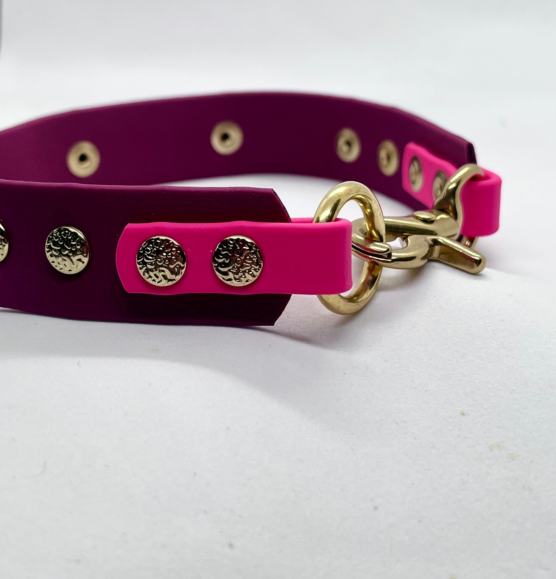 Close-up of solid brass hardware on 'How Posh' BioThane® dog collar | JOOLS LONDON
